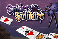 Spider Solitaire Online